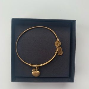 Alex and Ani apple charm Bracelet